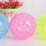 Hamster Exercise Ball