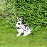 Rabbit Soft Mesh Harness With Leash