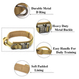 Dog Training Collar or Collar and Leash Set