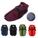 Winter Dog Jacket  With Harness