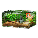 Transparent Acrylic Terrarium