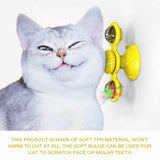 Windmill Interactive Cat Toy