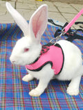 Pet Mesh Soft Harness With Leash