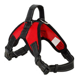 Heavy Duty Dog Harness