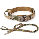 Dog Training Collar or Collar and Leash Set