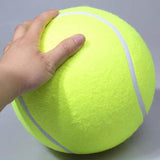 Giant Pet Tennis Ball