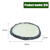 Reptile Feeder Bowl