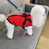 Winter Dog Jacket  With Harness