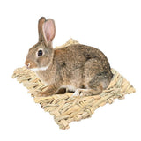 Grass Chew Mat Cage Accessories
