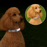 Personalized Durable Leather Dog Collar