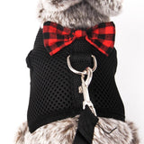 Small Pet Harness Vest Leash Set