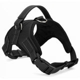 Heavy Duty Dog Harness