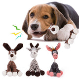 Squeaky Chew Toys For Small Medium Dogs