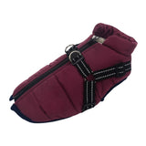 Winter Dog Jacket  With Harness