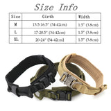 Dog Training Collar or Collar and Leash Set