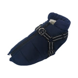 Winter Dog Jacket  With Harness