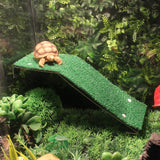Basking Platform Terrarium Decor
