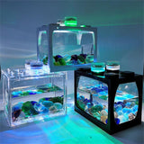 Mini Aquarium Fish Tank with LED Light 10*12.5*8.5cm