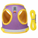 Reflective Safety Dog Harness and Leash for Small Medium Dogs