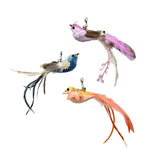 Interactive Feather Bird Cat Toy