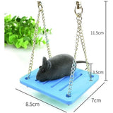 Small Animal Exercise Toys
