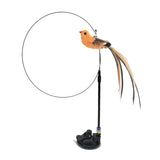 Interactive Feather Bird Cat Toy