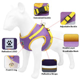 Reflective Safety Dog Harness and Leash for Small Medium Dogs