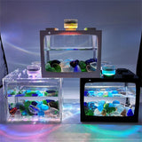 Mini Aquarium Fish Tank with LED Light 10*12.5*8.5cm