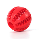 Indestructible Rubber Food Ball