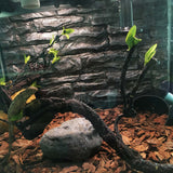 Corner Branch Terrarium Decor