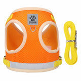 Reflective Safety Dog Harness and Leash for Small Medium Dogs
