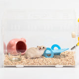 Small Animal Exercise Toys