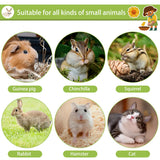 Rabbit/Small Mammal Chew Toys 16pcs