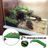 Basking Platform Terrarium Decor