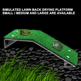 Basking Platform Terrarium Decor