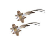 Interactive Feather Bird Cat Toy