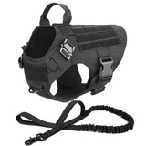 Large Dog Training Harness and  Leash Set