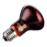 Reptile Heating Lamp
