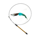 Interactive Feather Bird Cat Toy