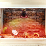 Reptile Heating Lamp