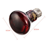 Reptile Heating Lamp
