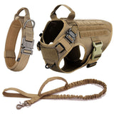 Large Dog Training Harness and  Leash Set