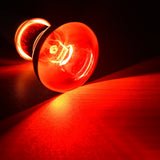 Reptile Heating Lamp