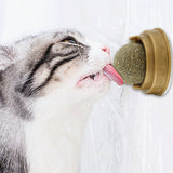 Natural Catnip Wall Stick-on Ball Toy