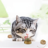 Natural Catnip Wall Stick-on Ball Toy