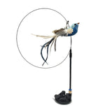 Interactive Feather Bird Cat Toy