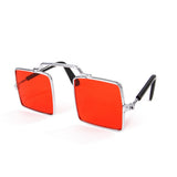 Pet Glasses