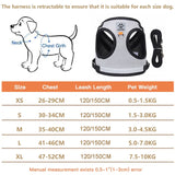 Reflective Safety Dog Harness and Leash for Small Medium Dogs