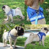Reflective Safety Dog Harness and Leash for Small Medium Dogs