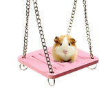 Small Animal Exercise Toys